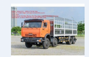 Xe tải thùng Kamaz 6540 (8x4) Loại 30 tấn