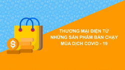 Thương mại điện tử: Những sản phẩm bán chạy mùa dịch Covid-19