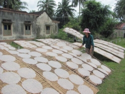 Rao vặt Quy Nhơn