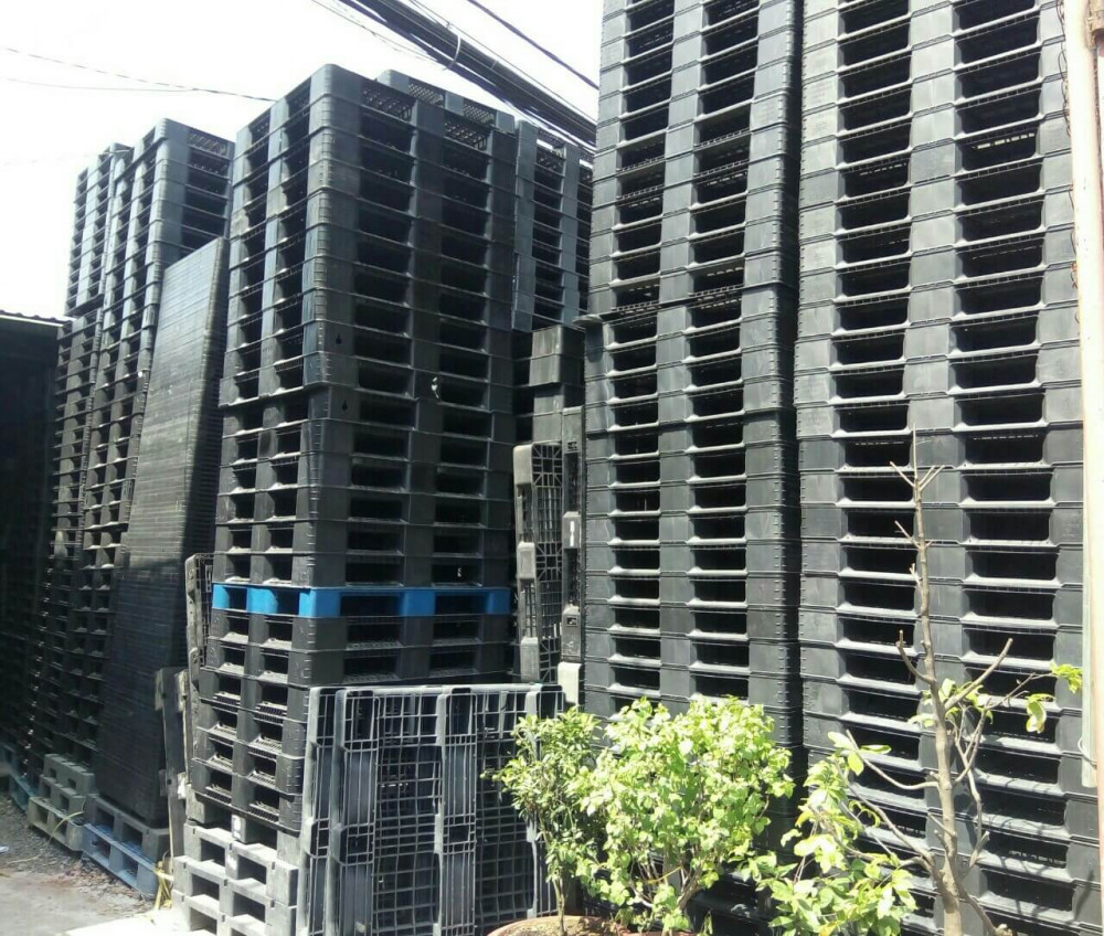 Chủng loại pallet nhựa cũ HCM 